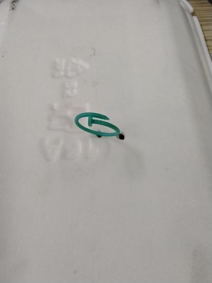 Yüzük 